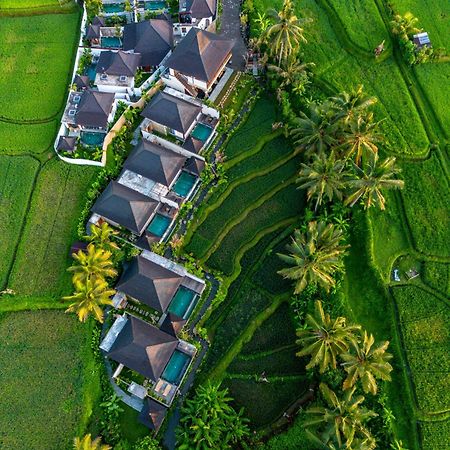 Dewi Kunti Villa Tegallalang  Eksteriør bilde