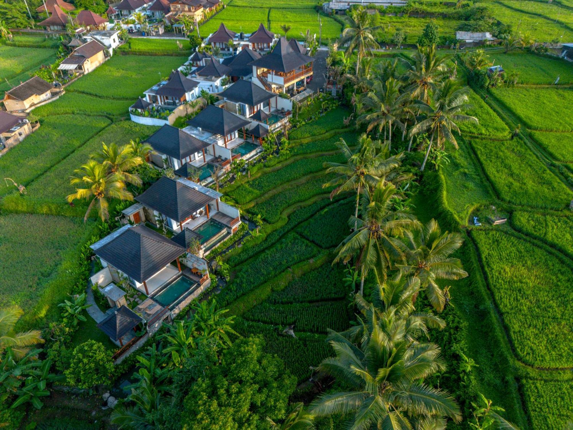 Dewi Kunti Villa Tegallalang  Eksteriør bilde