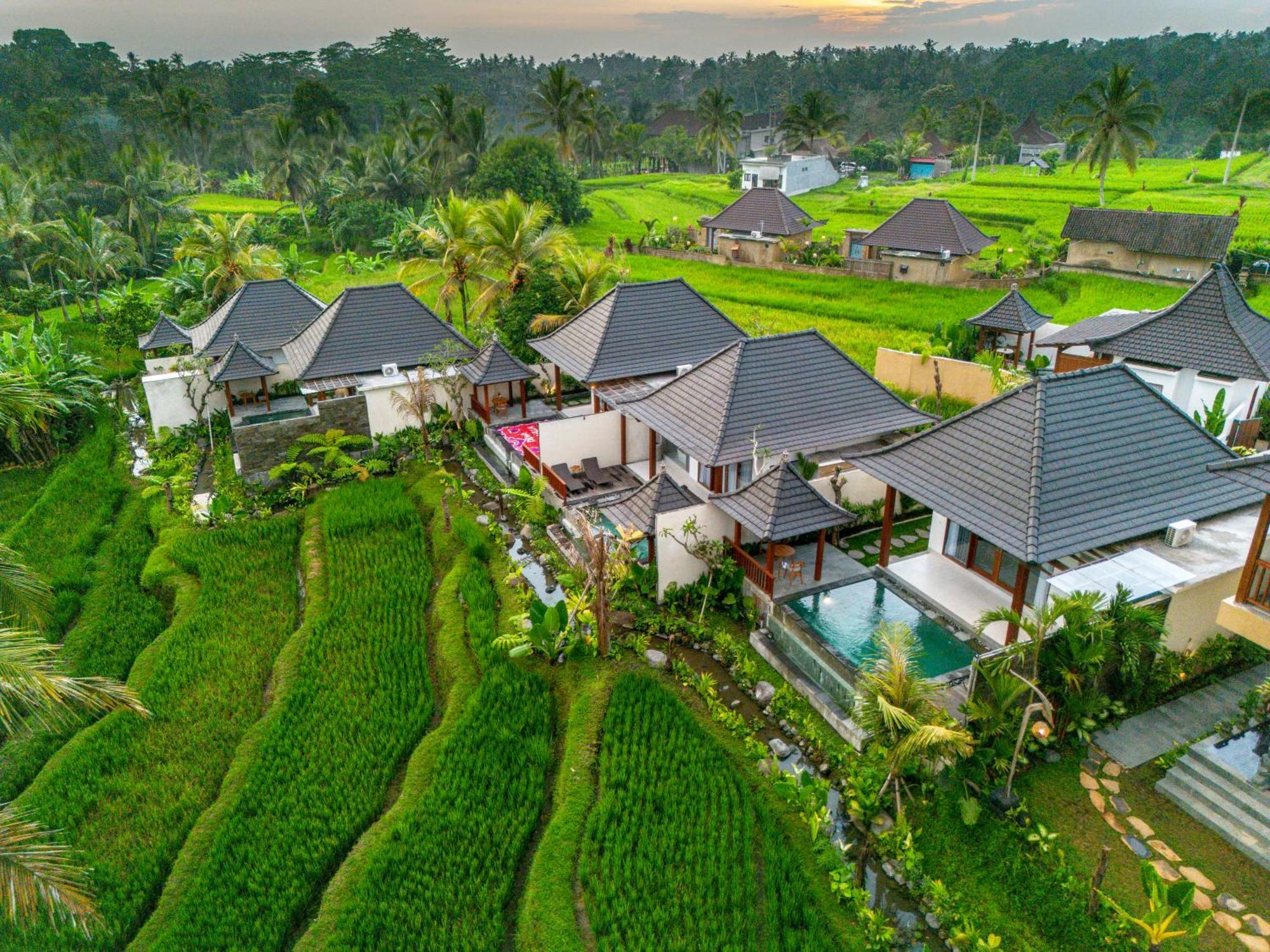 Dewi Kunti Villa Tegallalang  Eksteriør bilde
